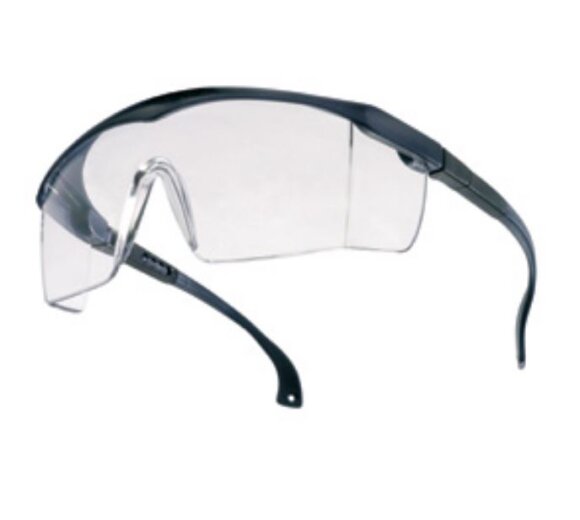 Feldtmann Schutzbrille Tector Basic 41931