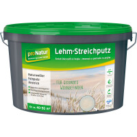 Baufan proNatur Lehm-Streichputz 2