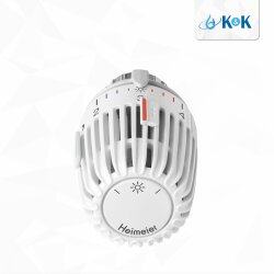 Heimeier Thermostat Kopf Typ K 6000-00.500 M30x1,5 mit Frostschutzstellung