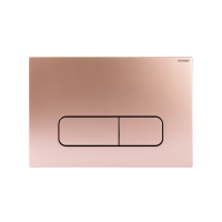 Raybro Betätigungsplatte Mocha Universal für 2-Men
